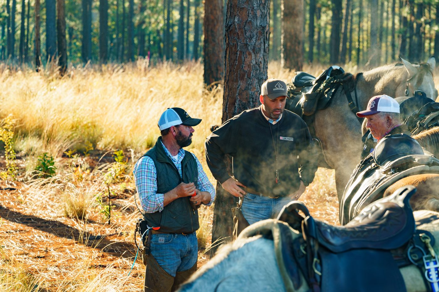Three field trial handlers in conversation beside their horses among longleaf pines