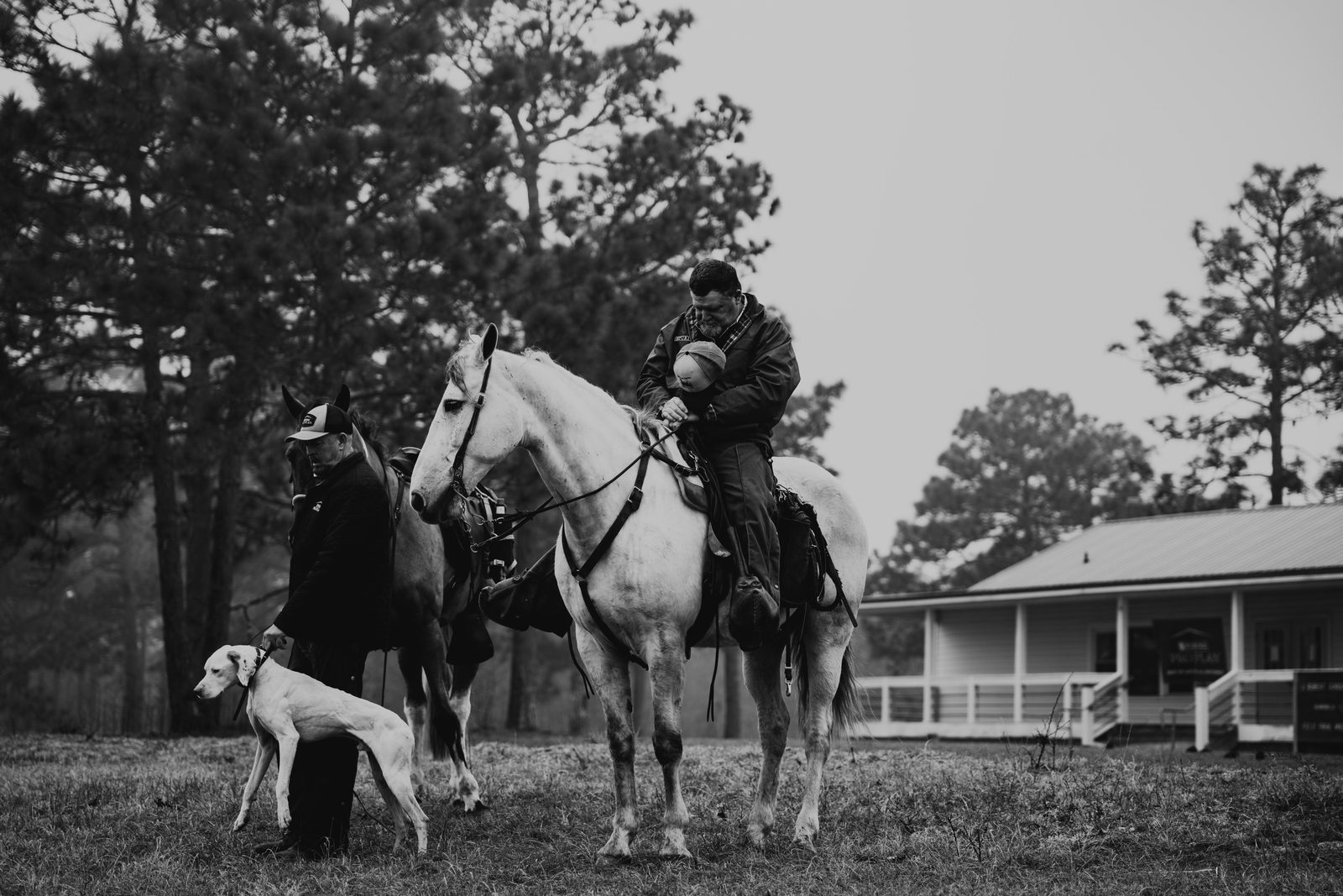 Mounted judge with pointer dog beside him at foggy dawn, wide Sandhills landscape, black and white