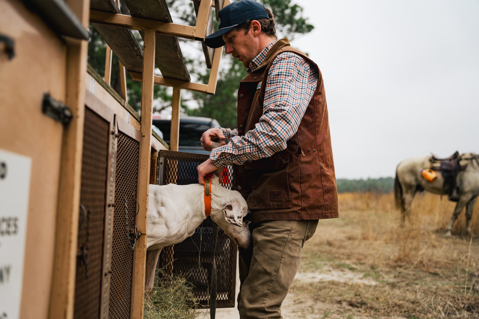 Handler in waxed canvas vest collaring a pointer beside the dog wagon at a field trial