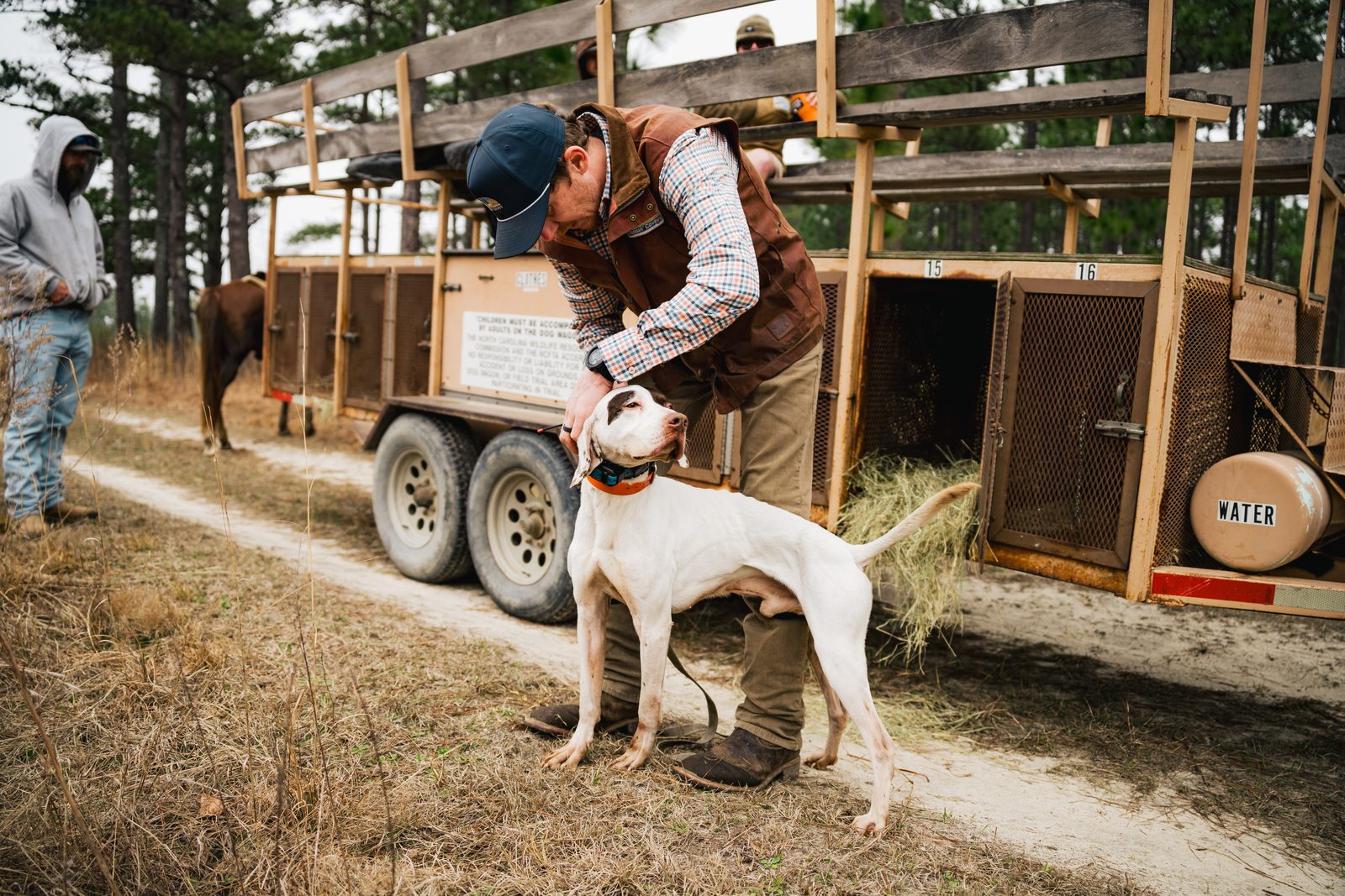 White pointer standing beside the NCFTA dog wagon as handler adjusts collar