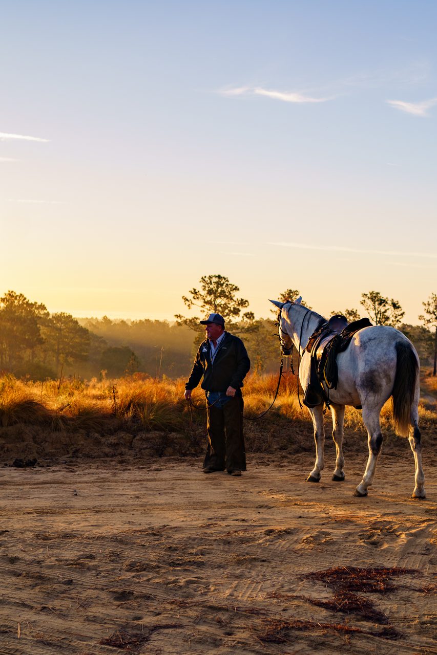 Field trial handler standing with gray horse at sunrise in the Sandhills longleaf pine savanna
